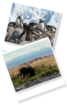 A life insurance advisor that loves to travel